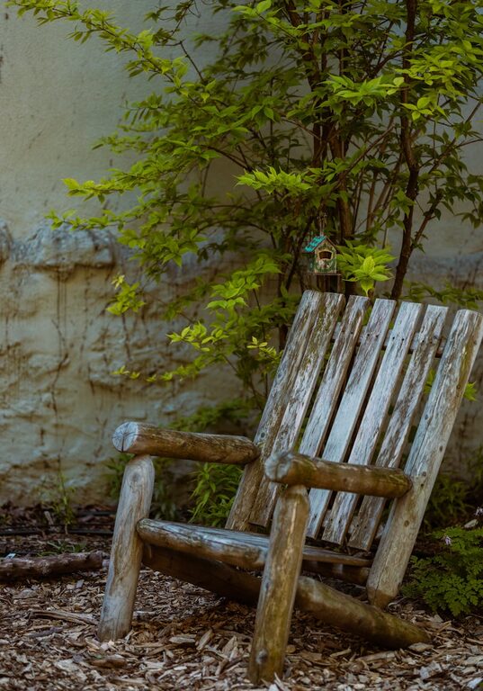 Tips for Creating a Relaxing Outdoor Space in Your Backyard